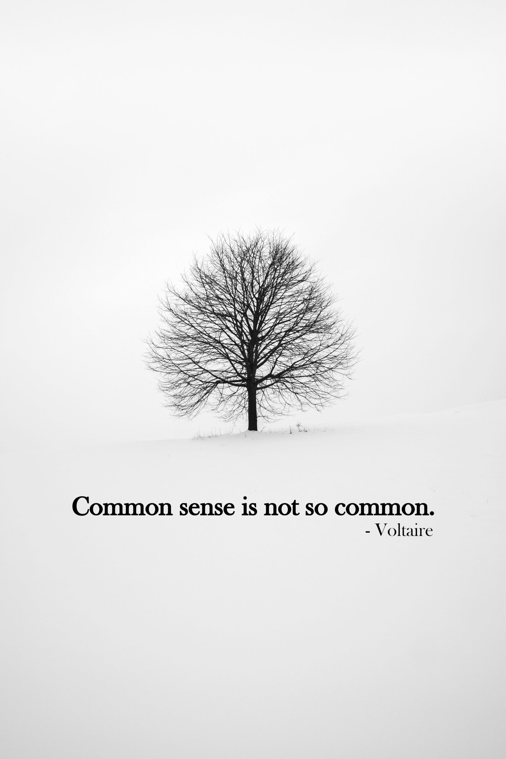 Common Sense Exam The Original Common Sense Test - Certified Common Sense
